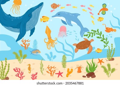 Underwater marine life, vector illustration. Tropical sea fish, dolphin, octopus swim at coral nature, ocean reef. Aquatic animal turtle, jellyfish