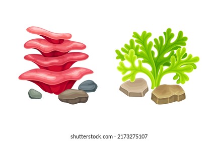 Underwater marine plants and stones set. Aquatic algae, aquarium seaweeds cartoon vector illustration