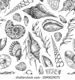 Underwater marine seamless pattern with shells and seaweed, monochrome sketch vector illustration. Hand draw ocean and sea life inhabitants - lambis, scallop, measled cowrie and nautilus.
