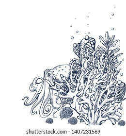 Underwater natural hand-drawn elements, vector,isolated on white background fish
