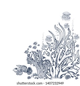 Underwater natural hand-drawn elements, vector,isolated on white background fish, 