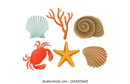 Underwater Ocean Bottom Species Vector Set. Different Marine Food