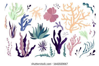 Underwater ocean corals, plants, seaweeds, anemones. Set of tropical coral-reef elements. Vector illustration.