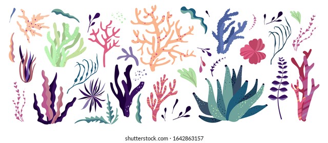 Underwater ocean corals, plants, seaweeds, anemones. Set of tropical coral-reef elements. Vector illustration.
