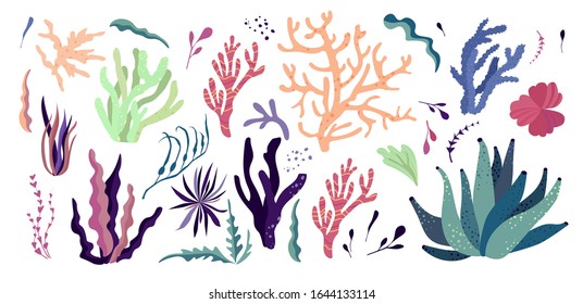 Underwater ocean corals, plants, seaweeds, anemones. Set of tropical coral-reef elements. Vector illustration.
