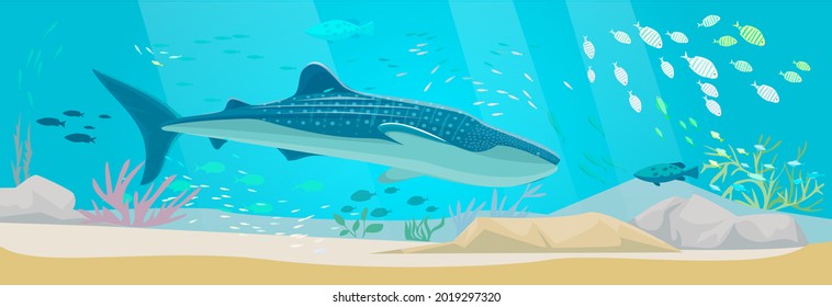 Underwater ocean fauna with exotic fishes. Ocean bottom with marine life reprsentatives. Marine underwater world with school of tropical fish. Seascape, undersea landscape vector illustration