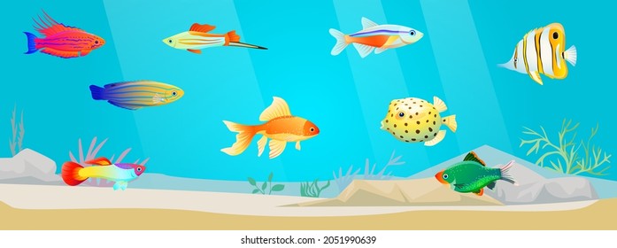 Underwater ocean fauna with exotic fishes. Ocean bottom with marine life reprsentatives. Marine underwater world with school of tropical fish. Seascape, undersea landscape vector illustration