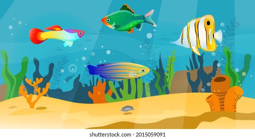 Underwater ocean fauna with fishes, seaweed and shells on sand. Ocean bottom with marine life reprsentatives. Marine underwater world with exotic fishes. Bright tropical fish floating on seabed