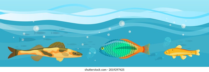 Underwater ocean fauna with fishes, seaweed and shells on sand. Ocean bottom with marine life reprsentatives. Marine underwater world with exotic fishes. Bright tropical fish floating on seabed