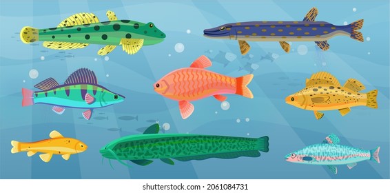 Underwater ocean fauna with fishes, seaweed and shells on sand. Ocean bottom with marine life reprsentatives. Marine underwater world with exotic fishes. Bright tropical fish floating on seabed