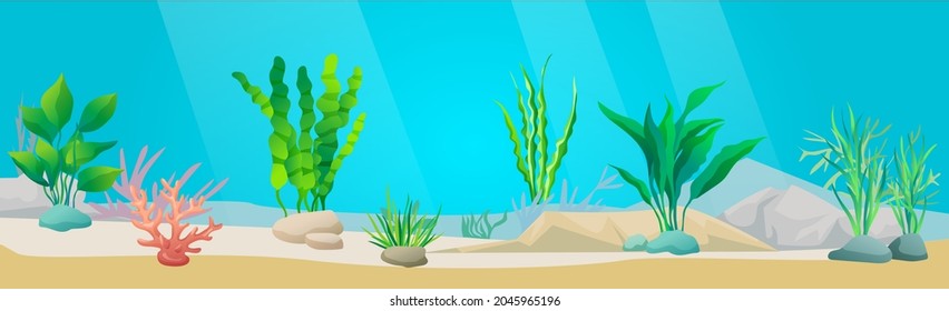 Underwater ocean fauna with seaweed. Ocean bottom with marine life reprsentatives. Underwater world vector illustration. Seafloor, undersea, seabed with marine plants. Green algae on sea floor