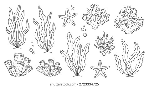 A cena subaquática do fundo do oceano apresenta várias espécies de algas marinhas e ramos de corais com estrelas-do-mar e bolhas de ar flutuantes.