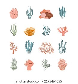Iconos planos de la flora submarina. Arrecife de coral de moda y vectores de plantas acuáticas. Algas acuáticas, laminaria, algas aisladas de fondo blanco.
