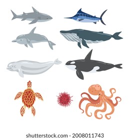 Juegos de animales y criaturas submarinas en el mar, ballena jorobada, tortuga, pulpo, orchín marino, delfín, pez espada, vector de dibujos animados Ilustración