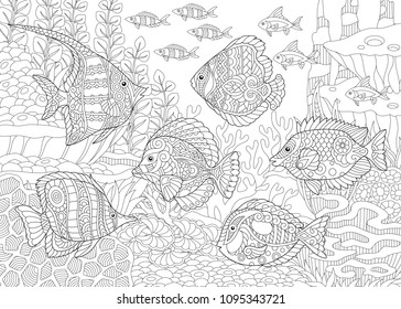 Download Adult Coloring Pages Fish High Res Stock Images Shutterstock