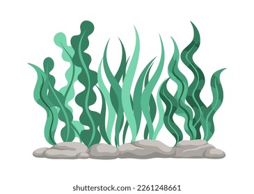 Underwater Organism Algae Seaweed Doodle Vector. Organic Water Plant Illustration.