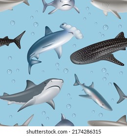 Underwater pattern. Angry wild shark swimming decent vector realistic seamless background with fishes