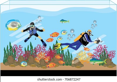 Underwater photographers and divers are diving in aquariums And above the coral.