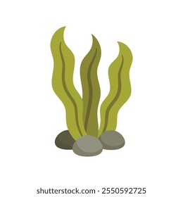 Underwater Plant Vector Illustration - 02