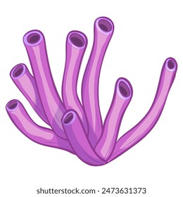 Underwater plant, vector illustration isolated on white background, eps10