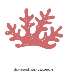 Underwater plants, algae. corals. Flat vector illustration in cartoon style isolated on white background.