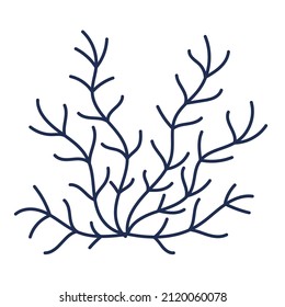 Underwater plants, algae. corals. Flat vector illustration in cartoon style isolated on white background.