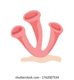 Underwater plants, algae, corals, starfish. Marine life, seabed ecosystem. Cartoon vector isolated illustration on a white background.