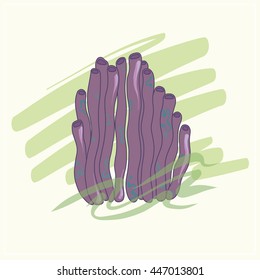 Underwater plants. Algae hand drawn vector.