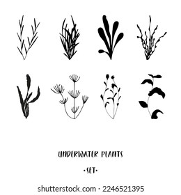 Underwater plants in black on white background. Hand drawn submerged sea and ocean weeds set for advertising and promotion such as logo, T-shirt and cap placement prints, stickers, banners, flyers svg