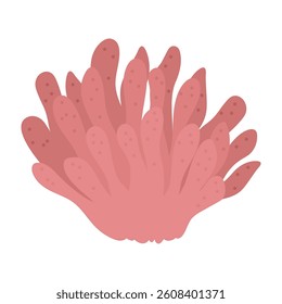 Underwater Plants and Seashells Vector Illustration