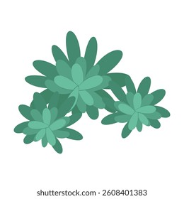 Underwater Plants and Seashells Vector Illustration