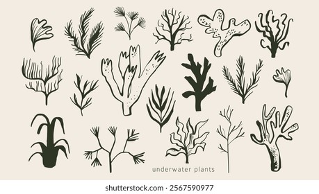 Underwater plants: seaweed, algae, corals. Modern organic wild life doodles. Simple outline ink sketches. Collection of hand drawn sea, ocean creatures. Isolated vector elements. Naive childish style