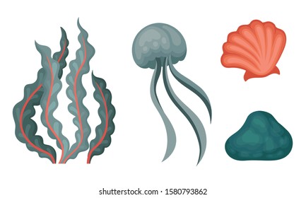 Underwater Plants and Shell Living Beneath the Ocean Vector Set