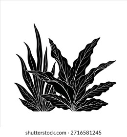 Ilustração vetorial de plantas subaquáticas. Elemento de projeto da flora aquática. Plantas de água de silhueta preta. Vegetação marinha.