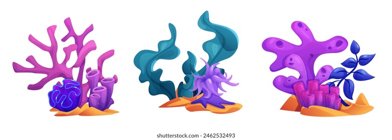 Underwater reef and coral plant for ocean vector. Marine seaweed isolated icon set. Undersea flora element collection. Abstract seabed grass for tropical fauna and nature. Deep nautical life graphic