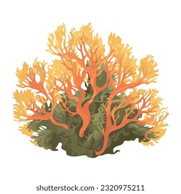 Underwater reef ,coral, and seaweed shapes isolated