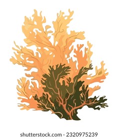 Underwater reef decorated with multi colored seaweed isolated