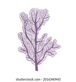 Underwater reefs. Coral reefs. Realistic illustration isolated on white background