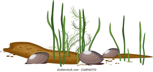 Underwater river landscape with green algae and mussel mollusks isolated on white background