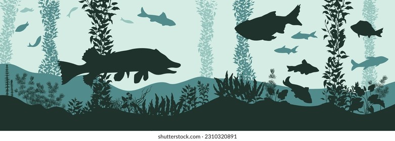Underwater river panorama. Fluvial scene with fishes and aquatic plants. Lake wildlife poster. Bottom pond animals banner. Vector illustration