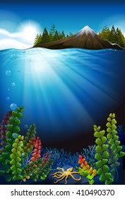 Underwater scene with algae and coral