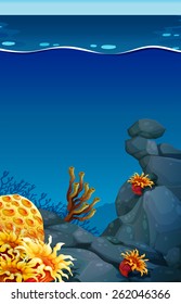 Underwater scene with coral reef and flowers
