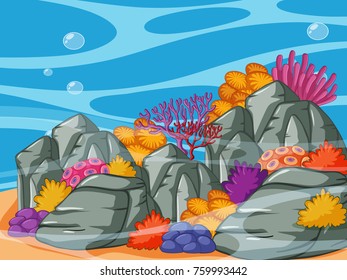 Underwater scene with coral reef and rocks illustration