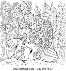 Underwater scene with a koi fish. Adult coloring book page with intricate mandala and zentangle elements.