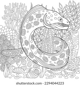 Underwater scene with a moray eel. Adult coloring book page with intricate mandala and zentangle elements