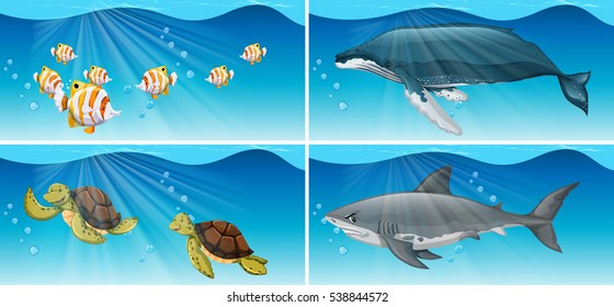 Underwater scenes with sea animals illustration