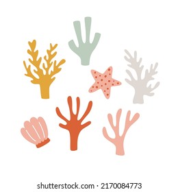 Underwater sea corals and algae. The nautical decor is hand-drown in the form of a seashell and a starfish. Vector illustration of plants.