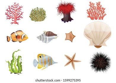 Underwater Sea Creature  vector illustration