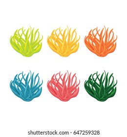 Underwater sea grass vector collection isolated on white background