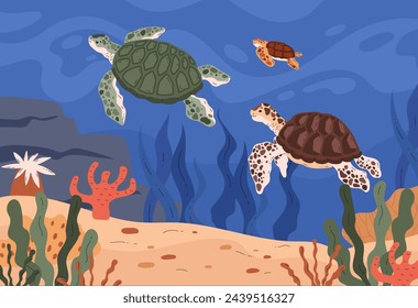 Underwater sea life. Vector illustration set featuring sea turtles swimming gracefully amongst coral and sea plants, showcasing marine biodiversity.